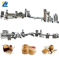Ligne de production de beurre de cacahuète Lehao une heure par cycle, prix d'usine, certifiée CE, 500 kg, Afrique du Sud, Kirghizistan, Ouzbékistan, Philippines, Pérou