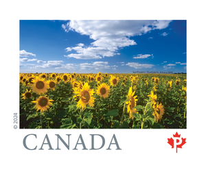 Canada 2024 – Rouleau de 100 étiquettes d'expédition CA <span class=keywords><strong>Post</strong></span> Stamps Coil, résistantes à l'huile, avec code-barres, pour envois postaux nationaux au Canada - Product Image 5