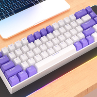 Mini clavier mécanique de jeu à 68 touches, 19 modes d'éclairage, interchangeables à chaud, toutes les touches anti-ghosting, clavier mécanique filaire