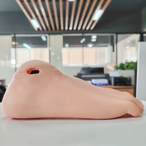 Modelo de cuidado de pie diabético De ciencia médica avanzada DARHMMY - Product Image 3