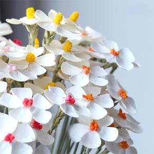 Bouquet de fleurs de violette séchées naturelles, Matériel artisanal floral DIY, Fleurs séchées multicolores pour arrangements floraux DIY - Product Image 2