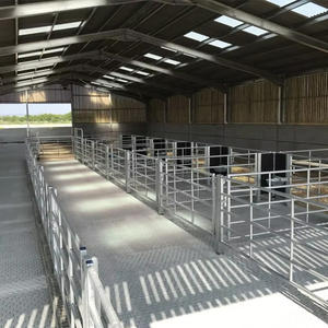 Capannone Prefabbricato in Acciaio Leggero a Basso Costo, Montaggio Rapido per Stoccaggio Agricolo - Product Image 3