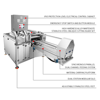 Vente directe du fabricant Machine à fileter le poisson oblique multifonctionnelle Machine de transformation du poisson personnalisable