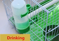 Fontaine à eau automatique pour oiseaux, mangeoire pour perroquets, gobelet d'alimentation pour oiseaux, distributeur d'eau automatique avec clip pour volière, accessoires pour cage à canaris