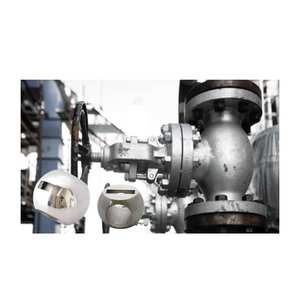 Clapet à bille en acier inoxydable de haute qualité PFA durable et améliorant les performances - Product Image 4