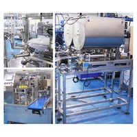 Remplissage automatique de liquides à double pompe, huile comestible, jus de fruits, grand volume, rotatif, 8 stations, emballage de sachets pré-fabriqués