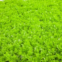 ZC 3D maison mariage intérieur Faux feuillage tropical buis haies verticale artificielle soie plastique vert herbe plante décoration murale