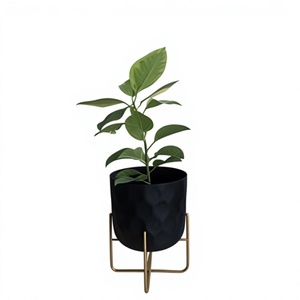 Minimalist Black Iron Flower Pot Gold Stand Drainage Hole Eco-Friendly Indoor Green Plants Desktop Planter Powder Coated Finish - Product Image 1