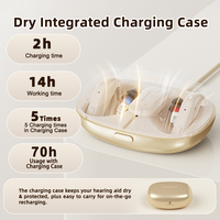 Aide auditive numérique intra-auriculaire H8 Classe II Binaural RIC 1.0, batterie rechargeable, 50 canaux, télécommande via application, réduction du bruit 60 dB