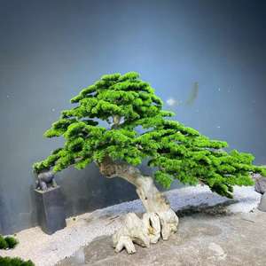 Fábrica personalizar 1,5 M de altura verde ciprés Artificial bonsái interior exterior gran árbol de pino falso <span class=keywords><strong>para</strong></span> decoración de paisajismo de Hotel - Product Image 5