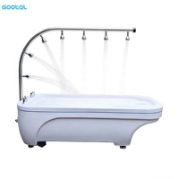 Lit de massage à jets d'eau d'hydrothérapie moderne, nouveau, sortie d'usine, table en acrylique, acier inoxydable, douche Vichy pour spa, salle de sport, bien-être