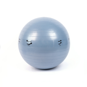 ลูกบอลโยคะพีวีซีขนาด55ซม. 65ซม. พร้อมปั๊มลูกบอลยิมนาสติกศิลปะมืออาชีพสำหรับออกกำลังกายโยคะกำหนดได้เอง - Product Image 2