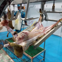 Rail complet de suspension de viande d'abattoir d'agneau d'abattoir de chèvre pour l'équipement d'abattoir de moutons