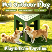 Plateforme triangulaire imperméable et écologique pour chiens et chats, en fibre d'acier inoxydable, équipement d'entraînement et de jeux pour animaux de compagnie