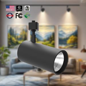 Hôtel magasin maison CCT puissance réglable 10w H-type Cct Led piste tête feux de voie 2700K 3000K 5000K 20W 30W 40W Led piste lumière - Product Image 1