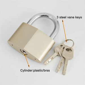 Feihuan nhà máy chất lượng cao giá rẻ an ninh khóa bảo mật cao an toàn candados seguridad 40mm thép cánh phím Kim Cương Sắt ổ khóa - Product Image 4