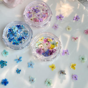 TSZS Mini vraies fleurs naturelles 3D décoration des ongles coloré bricolage <span class=keywords><strong>bleu</strong></span> violet fleurs séchées ongles breloques ongles en gros - Product Image 2