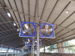 Hiệu quả cao dòng chảy hướng trục bò Barn fan với tiếng ồn thấp cho trang trại bò sữa làm mát - Product Image 5