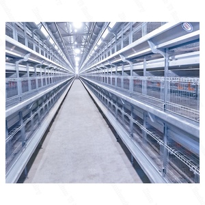 Nouvelles cages à poules pondeuses de haute qualité, type H, pour élevage intensif, avec perchoirs autonettoyants et système de collecte des déjections, pour usage agricole - Product Image 4