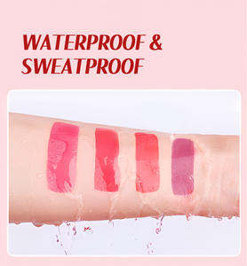 <span class=keywords><strong>Gloss</strong></span> à lèvres OEM 3-en-1, gelée minérale végétalienne, waterproof, longue tenue, 4 couleurs, blush liquide aux fruits, maquillage cosmétique 16G ODM - Product Image 5