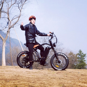 Nuevo Diseño, Scooter Eléctrico para Adultos con Motor de 500w/750w, 20 Pulgadas, Neumático Grueso, Bicicleta Urbana, Bicicleta Eléctrica de Montaña, Fat Boy, Nuevo Diseño, Motor de 500w/750w - Product Image 6