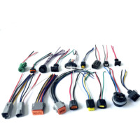 Connettore a 2 3 4 5 6 7 8 10 Pin, Assemblaggio Cavi per Moto, Cablaggio Auto OEM/ODM, Produzione e Assemblaggio