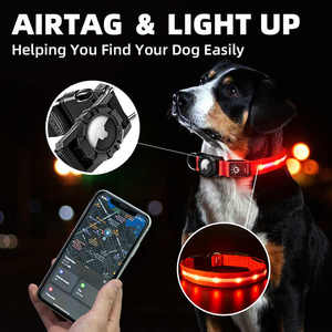 Skynuo kalung hewan peliharaan USB nilon, untuk Airtag IPX7 tahan air menyala bercahaya LED AirTag kerah anjing isi USB-C - Product Image 3