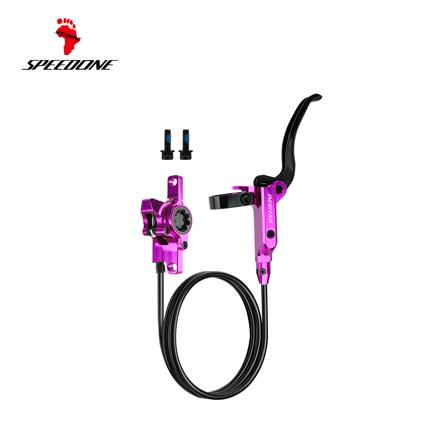 Frente único morado