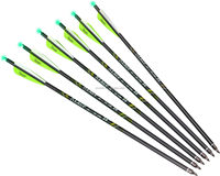 Flèches de carabine à poulies en carbone HT de 20 pouces, 6 pièces, avec pointes lumineuses, flèches de chasse, logo personnalisé OEM, pour arc classique en plastique