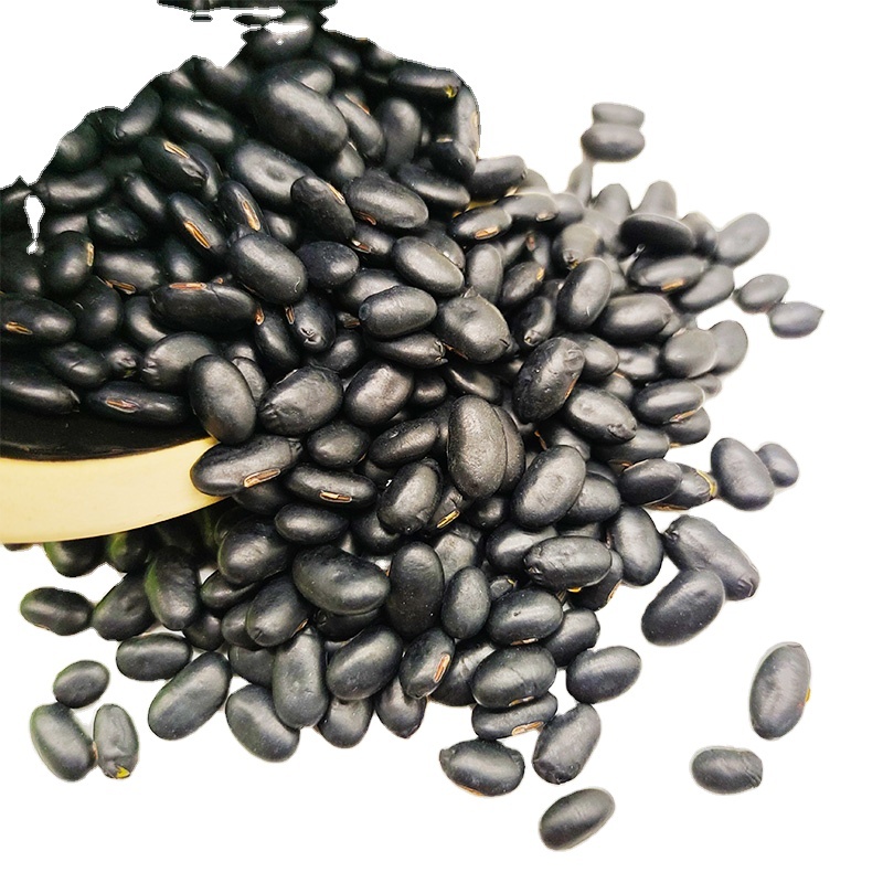 New Crop Hot Sale Black Bean