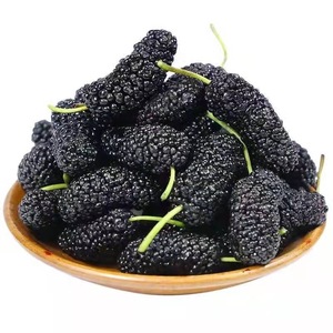 <span class=keywords><strong>Thé</strong></span> aux fruits de mûre en gros, sans additifs, fruits de mûre noirs séchés naturels de haute qualité - Product Image 3