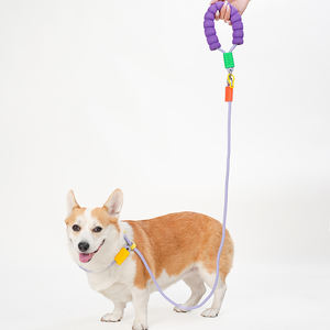 Cuerda de tracción manos libres retráctil de poliéster de nailon de alta resistencia, correa para mascotas, estilo de moda para entrenamiento de perros duraderos - Product Image 3