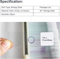 Student Parasitology Preparation Glass Hybrid Microscope Slide Set Teaching Resource for Microscope Studies Slide for Students