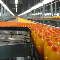 Ligne de Production de Jus, Confiture et Boissons à Base de Carotte, Pomme, Fraise, Tomate, Poire