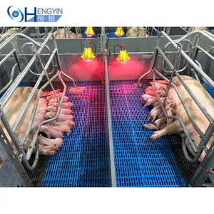 Cages pour animaux utilisés dans les fermes porcines, cages/stylos de maternité pour truie