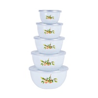 BSCI usine émail fruits bol ensemble 5 pièces émail stockage bol ensembles avec couvercle en plastique
