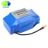 Paket Baterai Lithium Ion DTP18650 OEM ODM Custom Dengan BMS, 24V/48V 7S/10S 10Ah/12Ah Berbagai Konfigurasi S&P untuk Sepeda Motor Roda Tiga