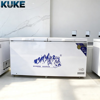 Congélateur horizontal commercial grande capacité à tubes de cuivre, OEM, excellente réputation et longue durée de vie, pour la congélation de crèmes glacées