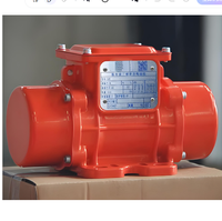 OLI WOLONG Kleiner tragbarer elektrischer Plattenrüttler 0,5 PS 1 PS 2 PS Zement-Beton-Vibrationsmotor 3000 U/min zum Verkauf