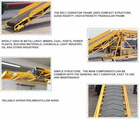 Machine de chargement/de décharge personnalisée pour camion, convoyeur à bande, chargement directe d'usine,
