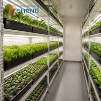 Cámara de Cultivo Climatizada Phytotron con Iluminación Avanzada para Estantes de Cultivo y Diseño de Ahorro Energético - Fabricante