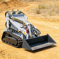 Minicargadora, Cargadora de Orugas, Cargadora de Tractor con Motor CE EPA de Alto Momento de Carga
