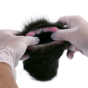 Masturbador de Bolsillo GEEBA Fantasy, Diseño de Gato Negro, Vagina Realista, Peluche Suave de Silicona, Venta al Por Mayor - Product Image 5