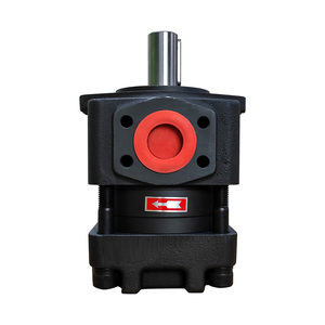 ปั๊ม QT รุ่น QT42-20 20 ซีซี/รอบ NBL4-D20 อุปกรณ์ไฮดรอลิก ปั๊มเกียร์ภายในแบบดิสเพลสเมนต์ 20 ซีซี สำหรับของเหลวขนาดกลาง - Product Image 2