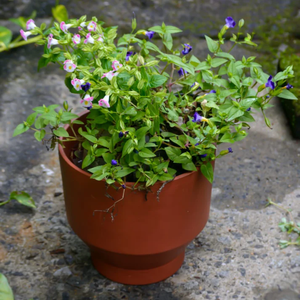 Ensemble de 2 pots à fleurs en terre cuite en forme de tulipe, faits à la main, pour l'intérieur, l'extérieur, le balcon, la terrasse, le jardin, la décoration de la maison, pots à fleurs rustiques en argile - Product Image 2