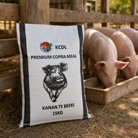 Sacs en PP tissé laminé de 20 kg, 25 kg, 50 kg pour aliments pour animaux, scellables à chaud pour céréales, graines, riz, avec logo personnalisé, vente en gros