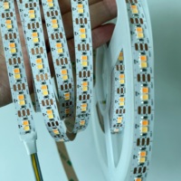 Bande lumineuse LED 2835 CCT dimmable 128 LED 24V IP20 à faible consommation d'énergie et haute luminosité 5m 10m