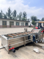 Vers Fruit Mango Appel Reinigingsmachine Luchtbel Groentewasmachine Bubbel Wasmachine