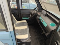 Petite nouvelle voiture électrique à faible consommation de carburant, véhicule à énergie nouvelle avec option essence