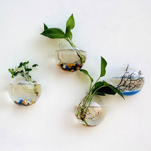 <span class=keywords><strong>Vase</strong></span> en verre hydroponique transparent semi-circulaire mural, décorations créatives pour la maison, vente en gros du fabricant - Product Image 1